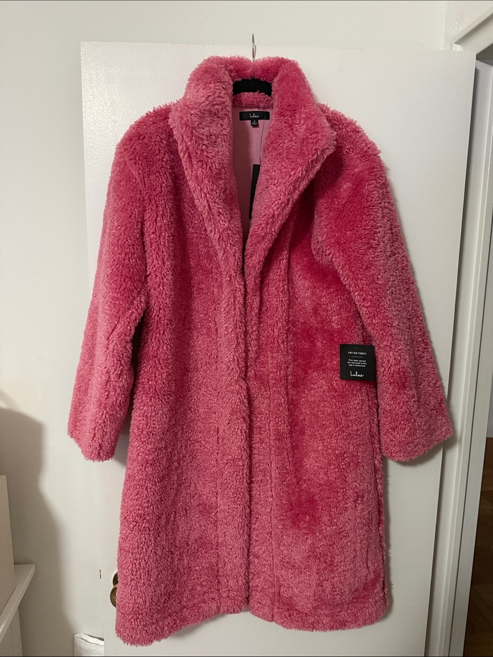 Cozy Plush Pink Teddy Coat - Medium